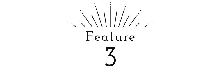 Feature3
